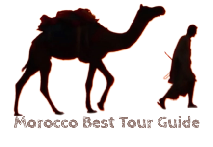 Best Morocco Tour companies